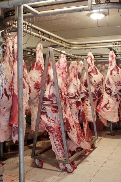 Premium Halal Mutton & Beef Cuts – Fresh & Frozen Technique Halal Type Mutton / Beef Storage Type -18°C or below Grade A Grade – Export - Image 2