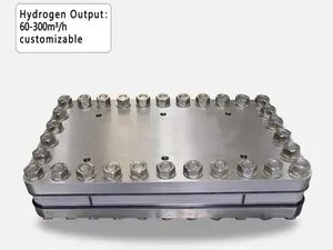 Pem Hydrogen Production System Water Electrolyzer H2 Gas Hydrogen Fuel Cell System - Image 4