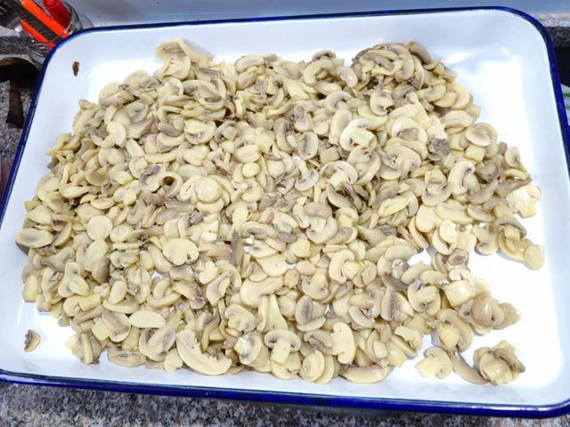 Canned Mushroom with High Quality - Image 3