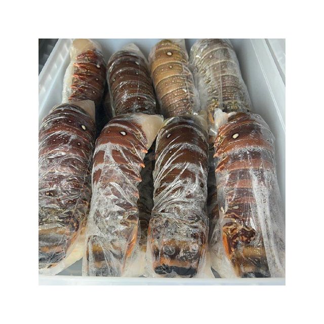 Fast delivery frozen lobster tails set for factory direct buyers - Image 4