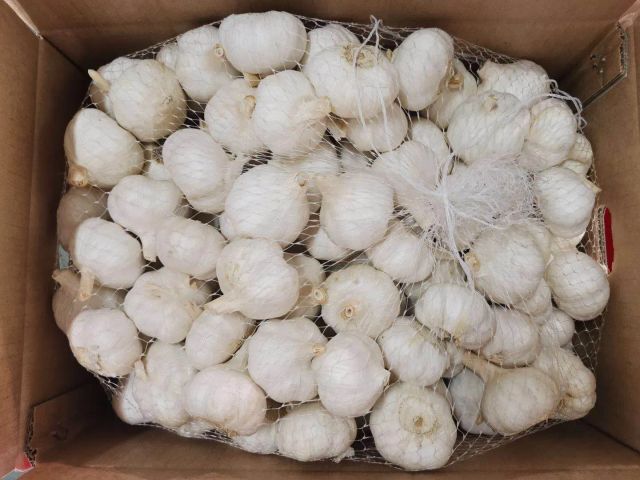 High Quality New Crop White Organic Garlic Fresh Seasonings in Low Price Pure Net Bag Wholesale 2 Year Shelf Lif - Image 4