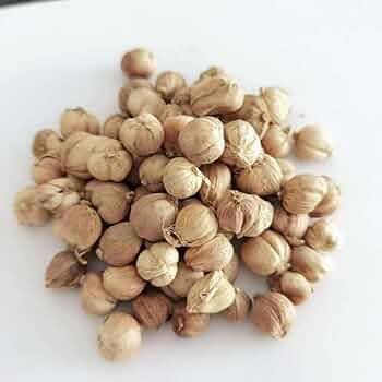 WHITE CARDAMOM Grade AA Shape ROUND Shelf Life 24 Type WHITE CARDMOM Drying Process SUN Germination Rate 98% Max. Moisture (%) 12 - Image 2