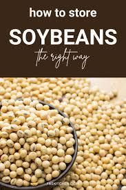 Raw Soybean/ Soya Bean Shelf Life 2 YEARS Place of Origin THAILAND Glycemic Index Low Glycemic Index Cholesterol free - Image 4