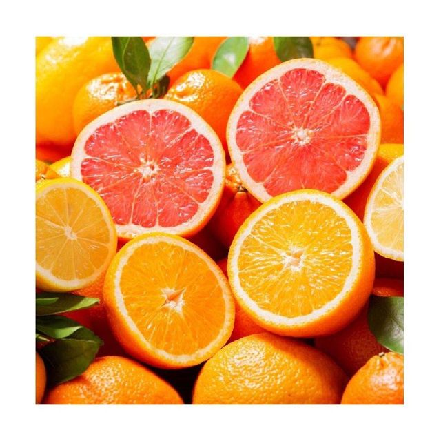 Valencia Oranges Fresh Produce Citrus Fresh Fruits bulk orange fresh citrus fruit - Image 3