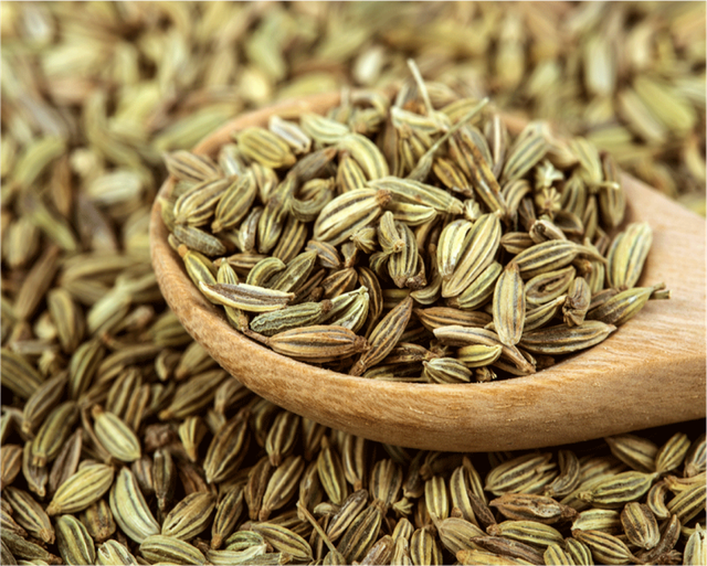 Wholesale Fennel Seeds Premium quality Fennel Seeds Cheap quality fennel seed - Image 1