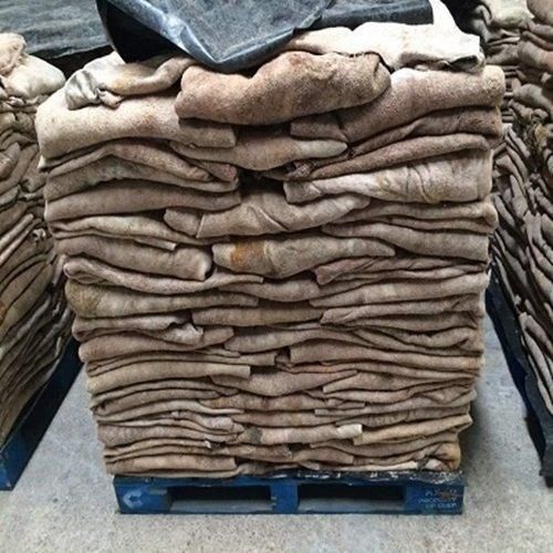 High Quality Donkey Hides, Affordable Bulk Wholesale for Export - Image 3