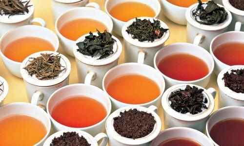 Premium Sri Lanka Ceylon Tea Bulk Orthodox Leaf BOP OP1 FBOP Grades | Sri Lanka Ceylon Tea Pure Orthodox Black Leaf Bulk - Image 3