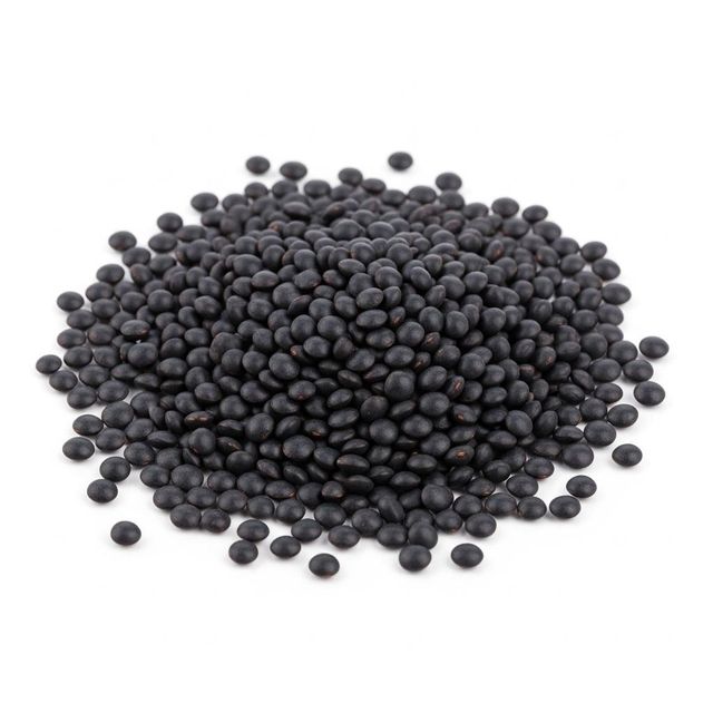 Fresh Black Lentils Rich In Nutrients And Protein Content Black Lentils Offered In Bulk For International Trade - Image 4