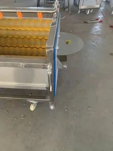 Yam Lotus Root Potato Hair Roller Cleaning Peeling Machine - Image 5