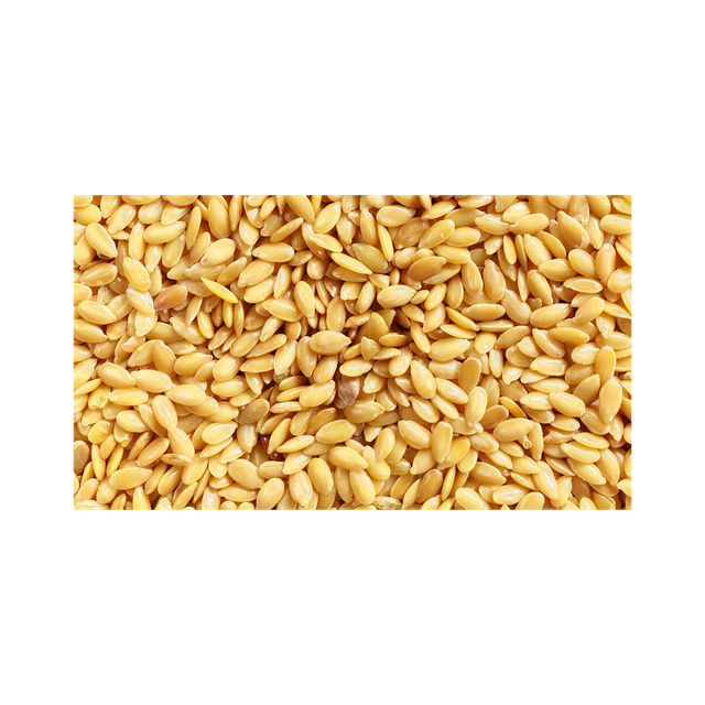 Flaxseed linseed wholesale bulk supply for distributors and traders - Image 3