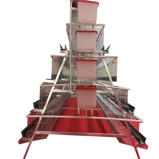 Automatic Egg Layer Chicken Coop for Poultry Farming - Image 4