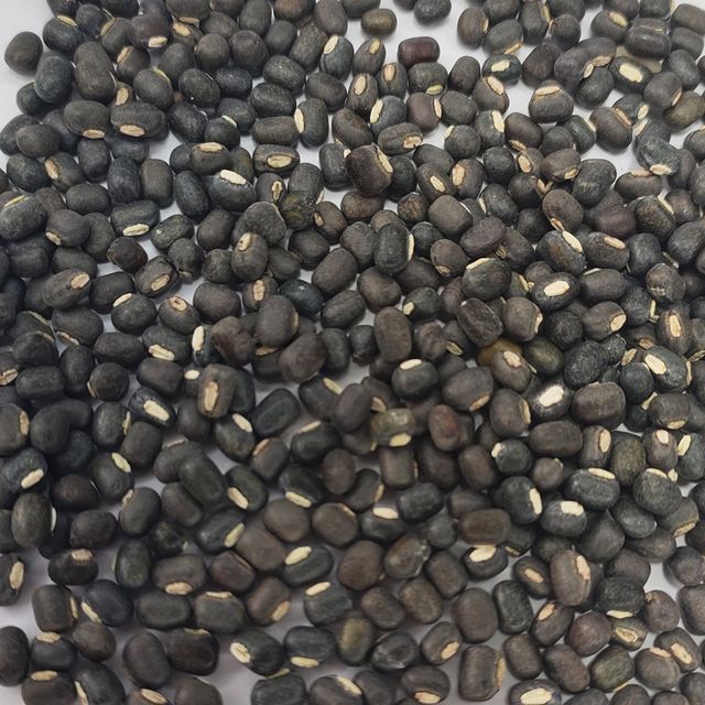 Vigna Beans Black Urad Dal - Image 3