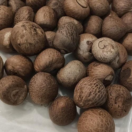 Betel Nut Grade A+ Max. Moisture (%) 3,5 Moisture Content 3-5% Origin Jakarta, Indonesia Document Support Phytosanitary, - Image 4