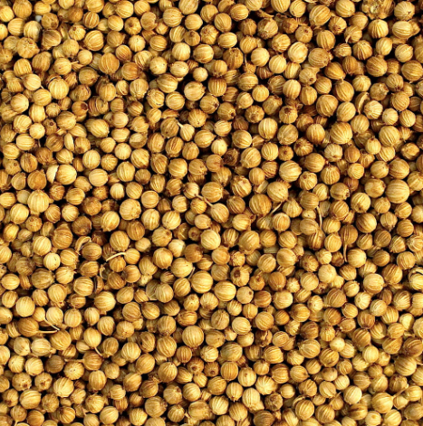 Dry Coriander - Image 3