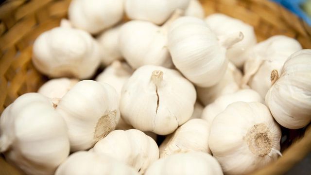 Organic Fresh White Garlic 6.0cm Normal and Pure White 10kg Wholesale Carton Pure Organic Fresh Garlic - Image 3
