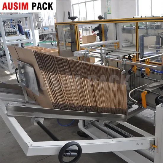 Automatic Low Cost Case Packer Carton Case Packing Machine - Image 6