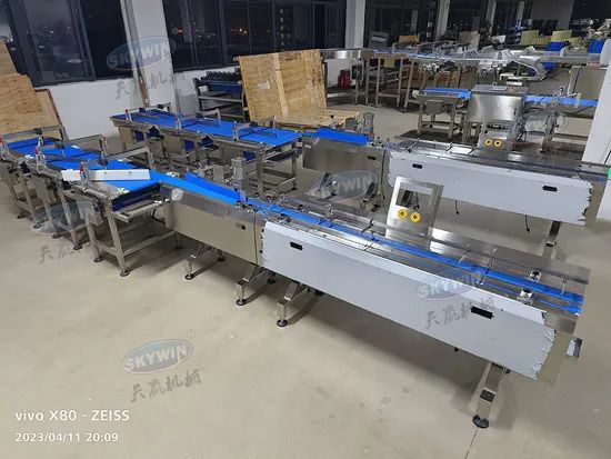 Skywin 530 Digital Automatic Packing Machine Multi-Function Flow Packing System for Manufacturer - Image 5