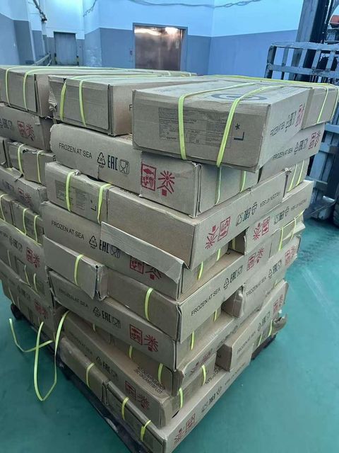 Frozen Herring Fish High Protein Seafood Selection With Reliable Cold Storage Handling For Bulk Import Demand - Image 3