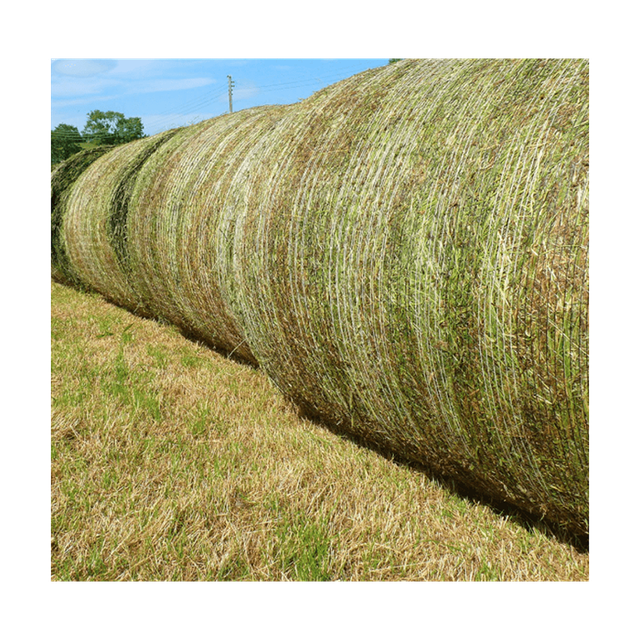 Premium Quality Rhodes Grass Hay Bulk Supply For Animal Feed Fast Delivery - Image 3