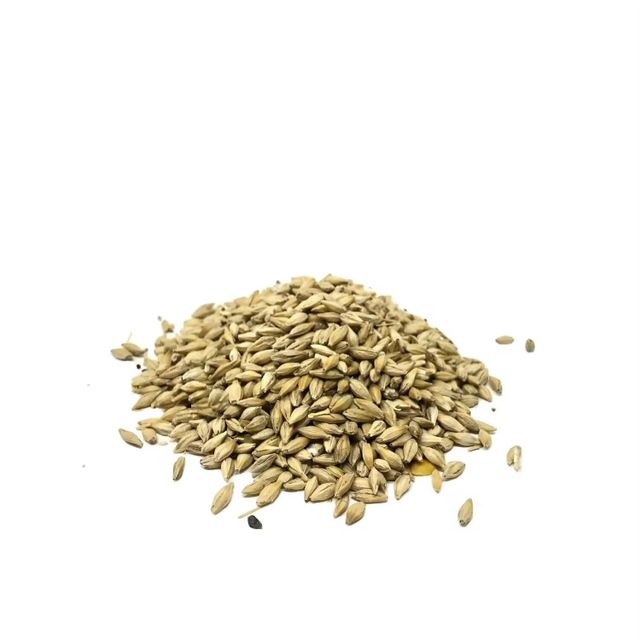 Best Quality Barley for Animal Feed and Human Consumption - Image 2