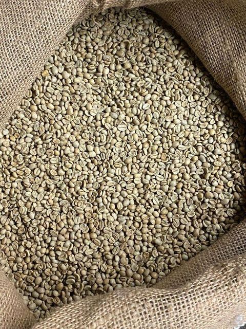 Smooth Green Coffee Arabica Beans With Natural Aroma And Versatile Flavor Profile For Roasting And Specialty Beverage - Image 5