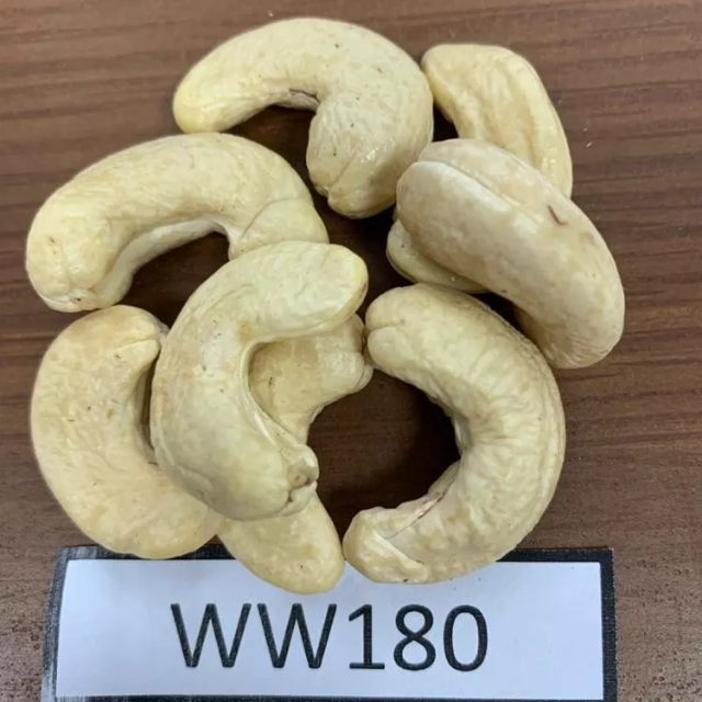High Quality Cashew Nuts WW240 WW320 WW450 Cashew Nuts Cashew Nut Raw Dried Organic Vietnam - HOT SELLER - Image 4