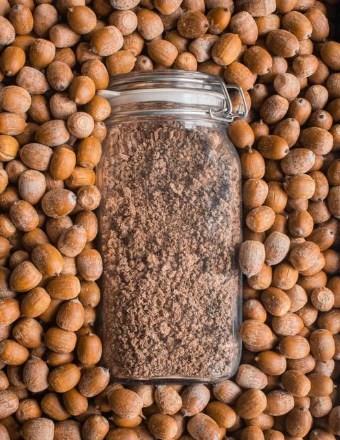 Farm Fresh Acorns Whole Seeds Natural Taste Clean Fresh Quality Ideal For Feed Industry And Bulk Processing Use Buy Today Fast Delivery Premium Quality Wholesale - Image 5