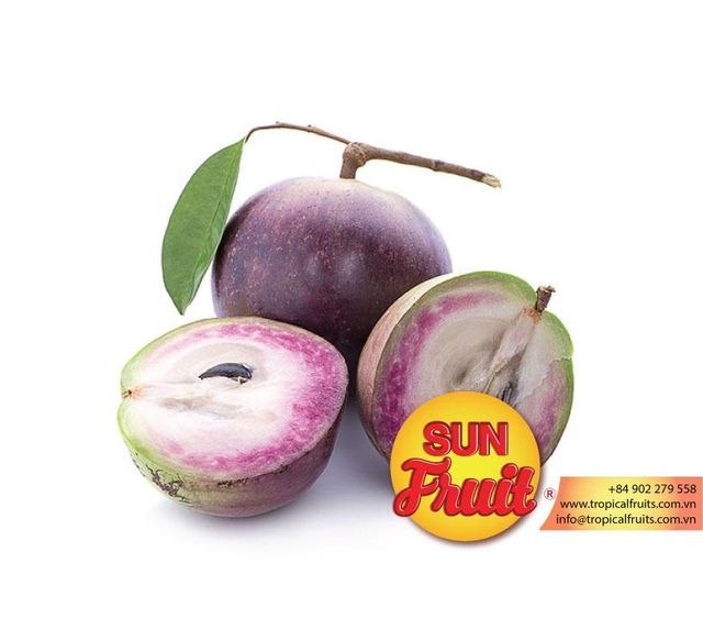 Vietnam Best Price Star Apple Good Price Grade A Style Fresh Color Purple Weight (kg) 0.4 Storage Type Cool Ingredients Star - Image 1
