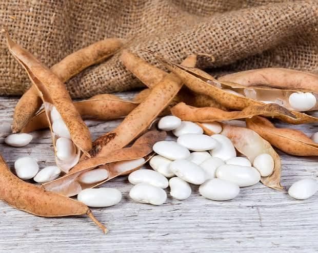Beans White Factory Sale Various Natural Health Sugar Beans Dry Bulk White Kidney Beans - Image 3