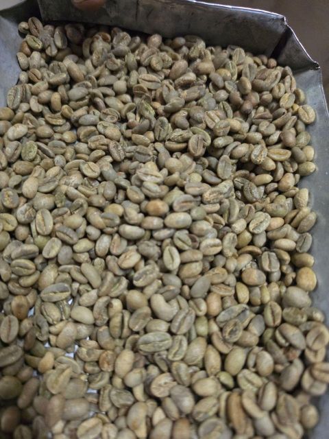 Coffee Organic Yes Decaffeinated No Bean Type Arabica Degree of Processing Raw - Image 2