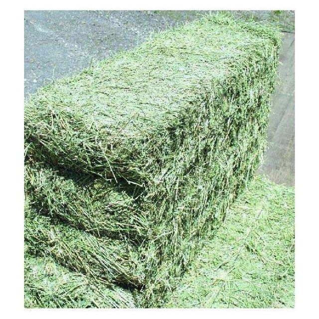 Quality alfalfa hay bays / Alfafa pellets / Dehydrated Alfalfa cubes timothy hay Cheap Top Quality Alfafa Hay for Animal Feeding Stuff Alfalfa ,hay/Timothy hay - Image 4