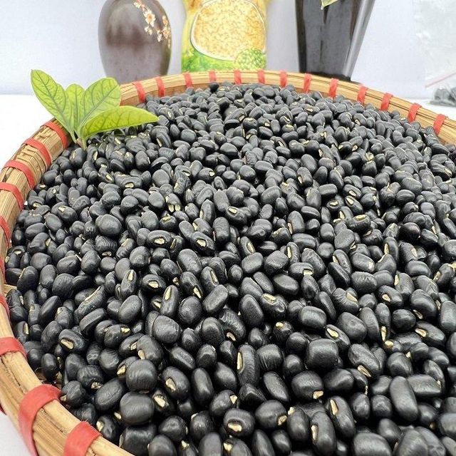 Organic Black Kidney Beans -Competitive Export Price Fast Delivery & Wholesale - Image 4