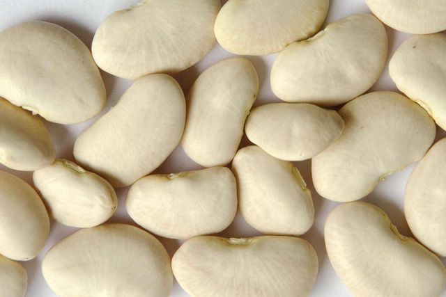 White Lima Beans 100% Natural New Crop Dried 25kg Bulk Supply Wholesale Suppliers with 24 Months Shelf Life - Image 3