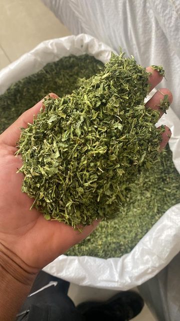 Dried Vegetables: Tarragon, Dill, Parsly, Chives, Mint Origin Iran Texture Dried Packaging PP Bags, Cartons Type Tarragon, Dill, Parsley, Chives, Mint, Etc - Image 5