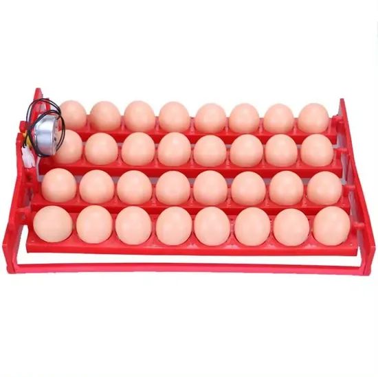 Mini Digital Multifunctional Mini Duck Egg Incubators (KP-36) - Image 6