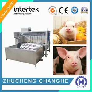 Pig Slaughtering Equipment Pig Overhead Hanging Rails Power 21kw Origin China Voltage 380V Condition New Warranty 1year Specification 200 - Image 1