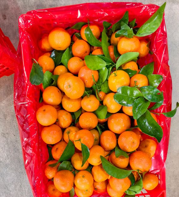 High Quality Fresh Mandarin Oranges Natural Sweet Juicy Citrus Fruit Premium Grade Healthy Refreshing Taste - Image 3