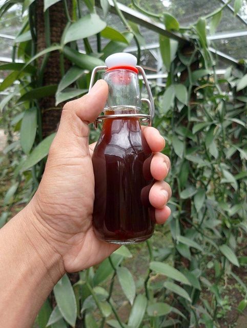 vanilla extract Form Extract, Liquid Features Alcohol-Free Flavor Profile Vanilla Non-Alcohol Variant Yes Non-alcohol Variant Yes - Image 4