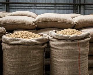 Premium Quality Whole Wheat Grain (27-28% Gluten) for Global Market. Top Quality Ukrainian Wheat. - Image 4