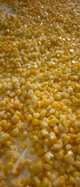 canned sweet corn - Image 1
