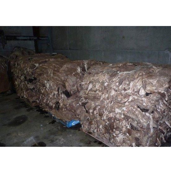 Wet Salted Donkey Hide Premium Raw Hide Material for Professional Tanneries. - Image 4