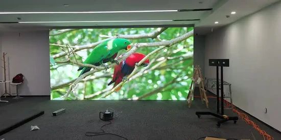 Indoor LED Advertising Display for Bright LED Advertisement Walls - Image 6