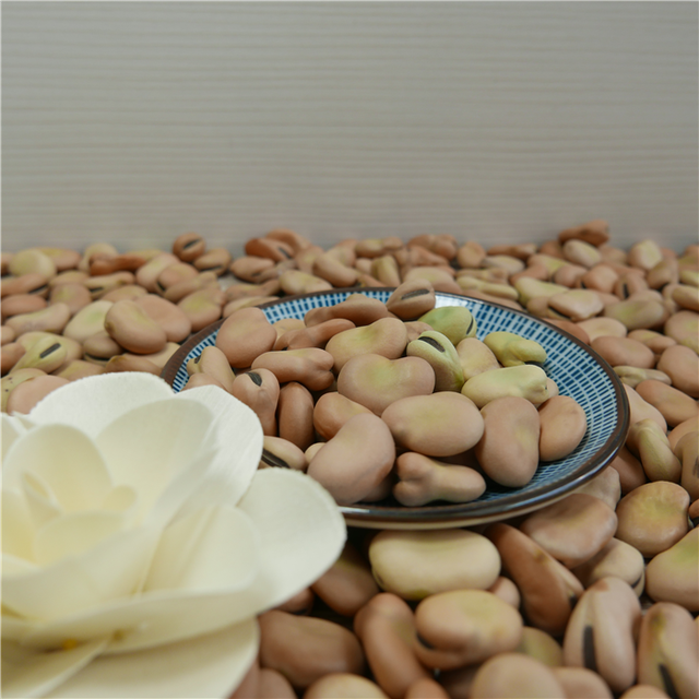Natural growth broad beans fava bean faba beans Style Dried Weight (kg) 25 Ingredients NO Brand Name jidi Model Number - Image 3