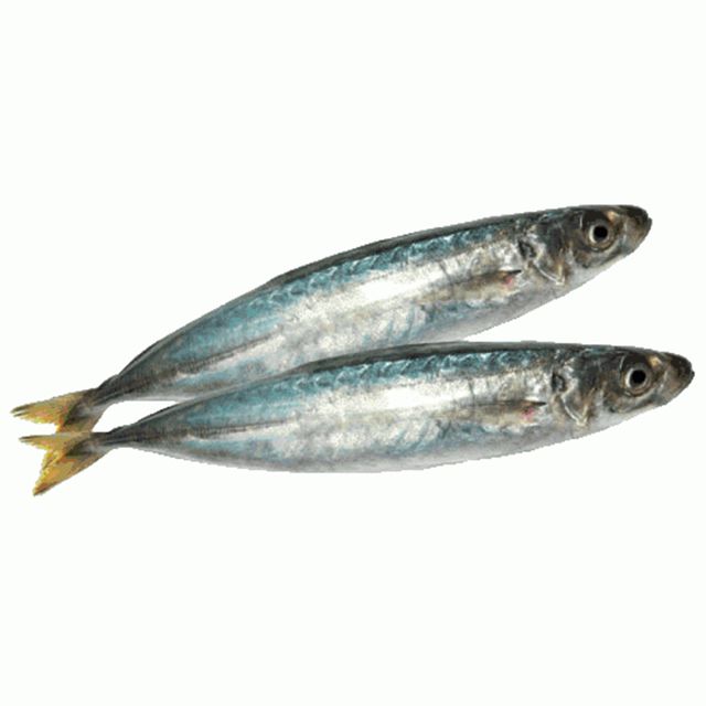 Frozen round scad from factory in bulk to export for wholesales - Image 1