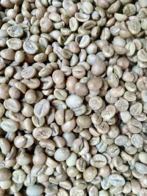 Indonesian Robusta Green Coffee Beans Grade 1 Special Quality Reliable Supply For Bulk - Image 4