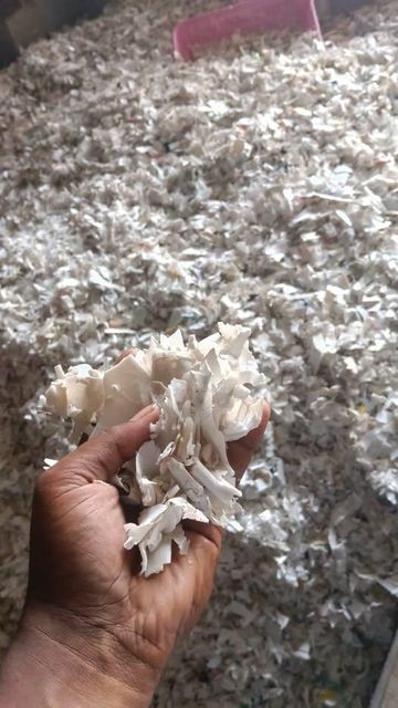 HDPE Blue Drum Scrap Supper, HDPE Drum Scrap for Sale, HDPE Regrind Scrap Supplier - Image 4