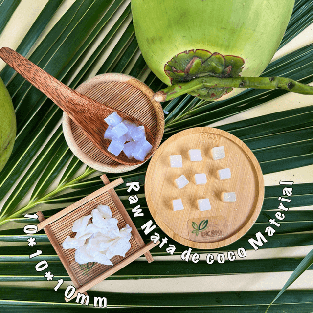 COMPRESSED NATA DE COCO size 10*10*10mm - CAN-10 - Image 4