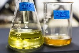 Potency Cannabis HPLC Organic Yes Origin Regional Features Organic Product Form Cannabis Potency Testing Method Hplc Packaging Size 1000kg, > 2000 g - Image 2