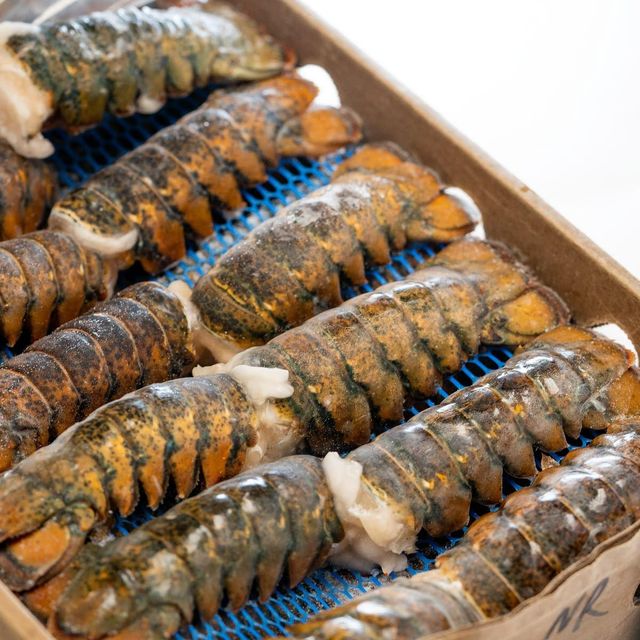 Frozen Lobster Tails Premium Grade Of Product Quality Export Manufacture Market best quality - Image 3