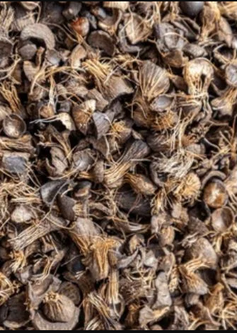 Palm Kernel Shell PKS - Image 1